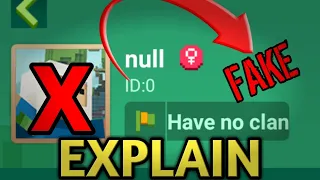 Blockman Go "Null Name" and "0 ID" (Explain)