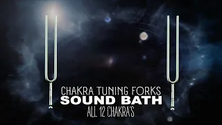 Tuning Fork Sound Healing Vibes | All 12 Chakra Frequencies | Sound Bath