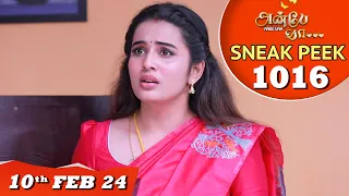 Anbe Vaa Serial | EP 1016 Sneak Peek | 10thFeb 2024 | Virat | Shree Gopika | Saregama TV Shows Tamil