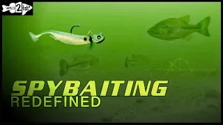 How to Fish Finesse Swimbaits for Suspended Bass