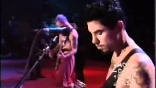 Red Hot Chili Peppers - Woodstock '94