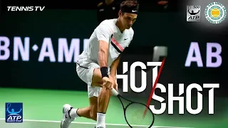 Federer Flicks Fantastic Hot Shot At Rotterdam 2018