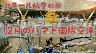 【ハマド国際空港】12月2021年の様子 4K　Qatar Airways