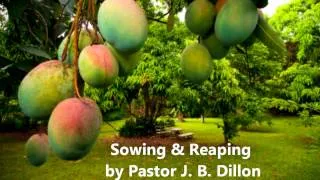 Jamaican Church Service "Sowing and Reaping" by Pastor J B Dillon