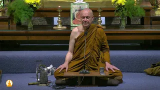 Friday Night Guided Meditation | Ajahn Brahmali | 25 November 2022