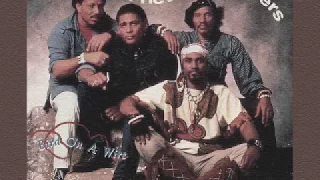 Neville Brothers - Bird on the Wire (alternate version)