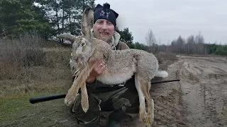 Охота на ЗАЙЦА и ЛИСУ в Беларуси 2020