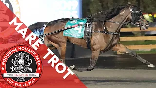 2019 Breeders Crown - Manchego - Mare Trot