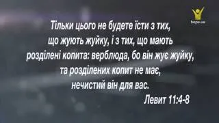 Як не здорова їжа нас вбиває? Здорове харчування та його наслідки | Біблія свідчить