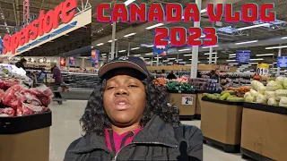 Grocery Shopping & Haul in Canada 2023 | Current Cost of These Items in Saskatoon Ca