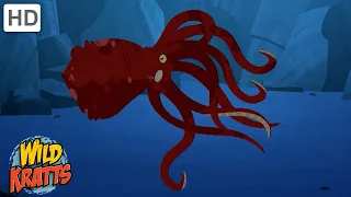 Octopuses and Other Cold Climate Creatures [Full Episodes] Wild Kratts