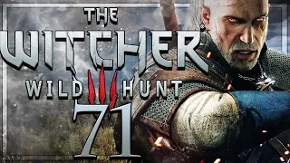 The Witcher 3 Wild Hunt Walkthrough Part 71