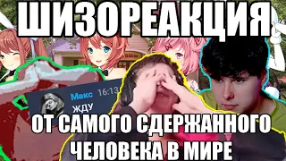 ШИЗОРЕАКЦИЯ НА MAXZAX - ТОП 10 МОДОВ ДЛЯ DDLC