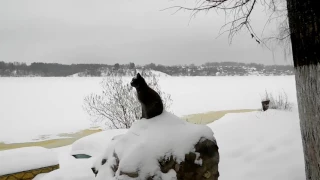 Плес. Город художников зимой