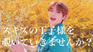 初心者さん向け、ジニの紹介動画👑〈StrayKids/スキズ/Hyunjin/ヒョンジン〉【日本語字幕】