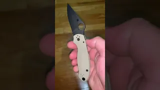 DLT trading Spyderco Para 3 exclusive with 20 CV