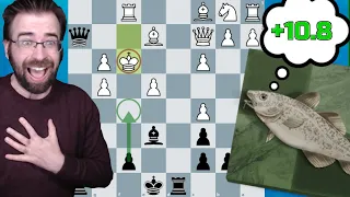 Confusing Stockfish with Magical Stafford Gambit Lines