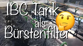 Low Budget Bürstenfilter selber bauen Teil 1 IBC Tank als Filterbehälter für Koiteiche