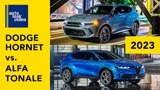 2023 Dodge Hornet vs 2023 Alfa Romeo Tonale! New SUV Twins from Stellantis