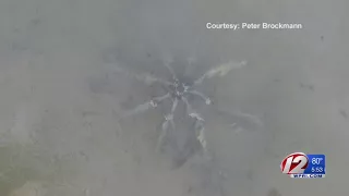 Strange Metallic Object Found in Waters off Westerly