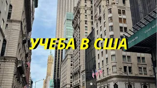 Учеба в США: Как учиться в Америке БЕСПЛАТНО? (Самый полный гайд)