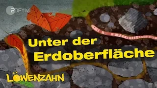 Unter der Erdoberfläche - Löwenzahn - ZDFtivi