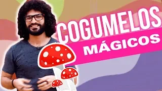 Cogumelos Mágicos, o "Alimento dos Deuses" - Que Droga é Essa? #12