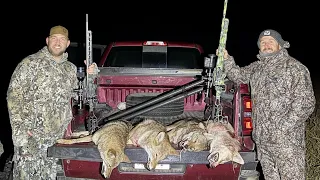 First Night Coyote Hunt of the Season!