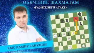 Шахматы / Разноцвет в атаке / Школа шахмат Smart Chess / КМС Дамир Бакунин