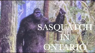 #38 BIGFOOT ENCOUNTERS from Ontario W/Recording of possible bigfoot audio