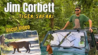 Jim Corbett National Park - Uncut Video  | Tiger Attack | Jim Corbett National Park Safari