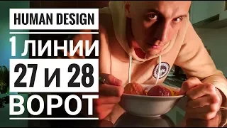 Дизайн Человека 27 и 28 ворота. 1 линии Даниил Трофимов. Human Design