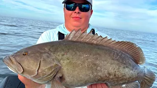 Shallow Water Gag Grouper Fishing Using Spinning Rods!! (Costa 264 HC)