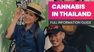 Cannabis in Thailand Full information guide #thailandcannabis