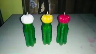 DIY Candle Cactus candle's