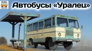 "Транспорт в России". Автобусы "Уралец" | Transport in Russia. Bus "Uralets"