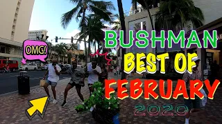 BUSHMAN BEST OF FEBRUARY 2020