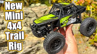 This RC Crawler Is Unusual For The Brand! - FMS Model FCX24 Lemur