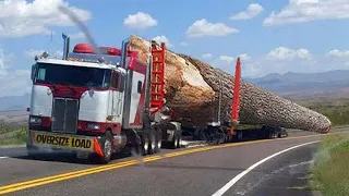 Dangerous Fastest Biggest Logging Wood Truck Operator Skills, Climbing Truck Heavy Equipment Working
