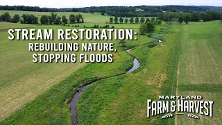 Stream Restoration: Rebuilding Nature, Stopping Floods | Maryland Farm & Harvest