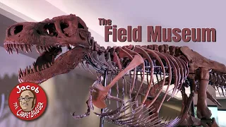 The Field Museum -New and Classic Exhibits - Chicago, IL