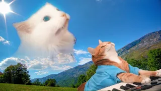 Astronomia - Coffin Dance Meme - Cat Cover