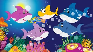 Baby Shark Song | Nick & Hannah Kids| Baby Shark Do Do Do | Nursery Rhymes