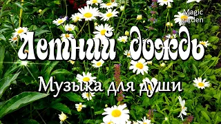 Летний дождь... Музыка Андрея Обидина. Музыка для души