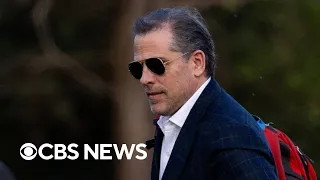 Breaking down the Hunter Biden plea deal, what the judge can do