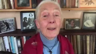 International Day of Conscience 2020: Dr. Jane Goodall