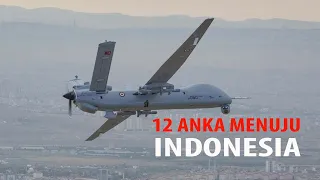Indonesia Dikabarkan Beli 12 Drone Anka Turkiye