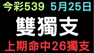 今彩539｜雙獨支｜少年狼539｜5月25日｜上期命中26獨支