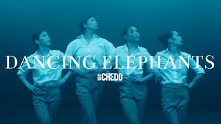 CHEDO : Dancing Elephants