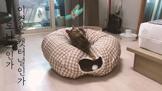 [고양이 브이로그] 새로운 도너츠형 세븐펫 숨숨터널 장난감(Donut shaped cat tunnel toy for cat)